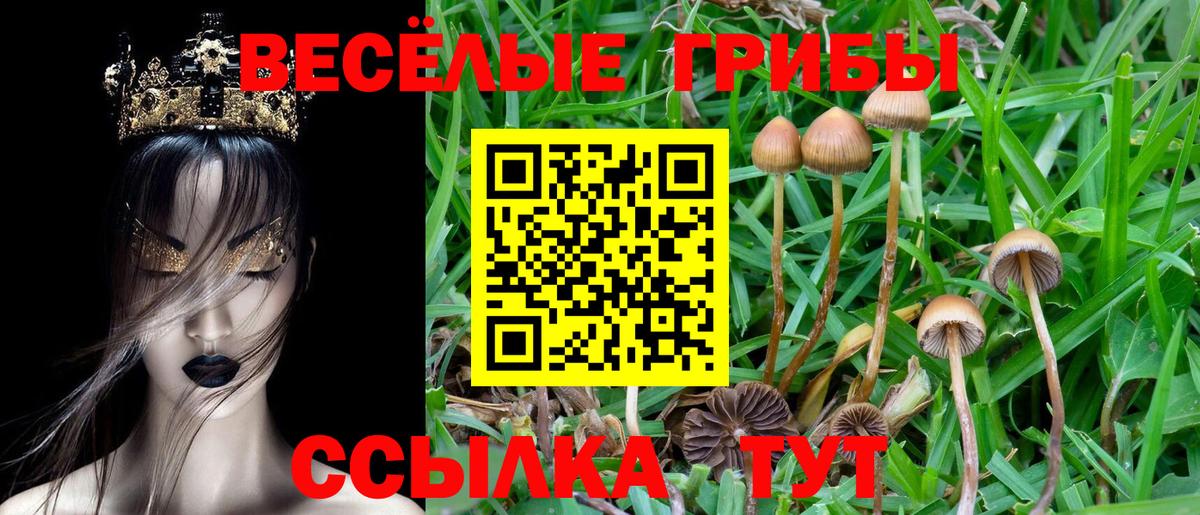 Михайловск  Псилоцибиновые грибы прущие грибы  Галлюциногенные грибы Psilocybine cubensis  Вход с VPN 