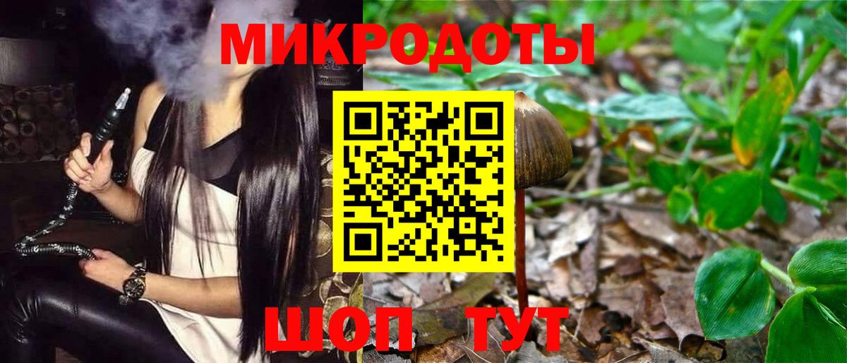 Псилоцибиновые грибы Psilocybe Михайловск